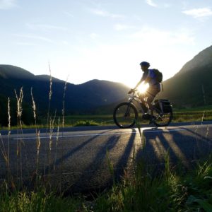 Mountain Bikes