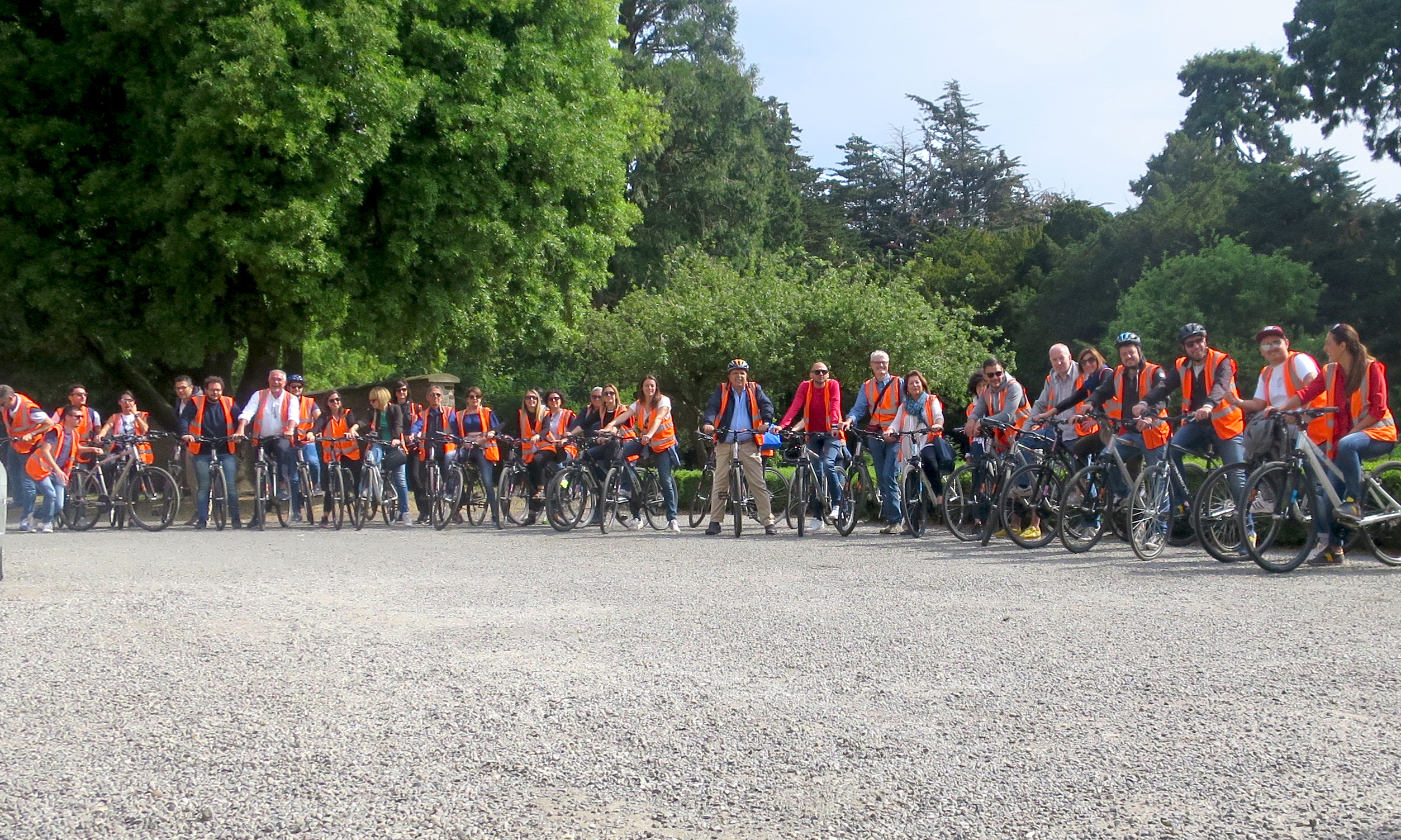 1PhoenixParkBikeTours